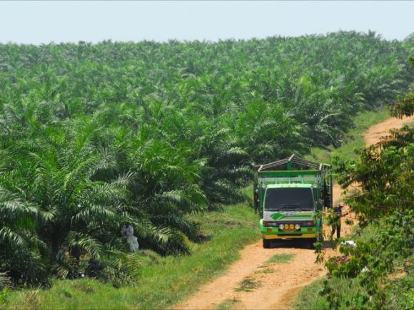 The Future of Farming: How Commodity Collection & Trading Benefits Farmers