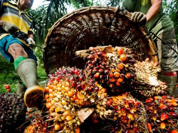 From Farm to Market: Simplifying the Agricultural Supply Chain