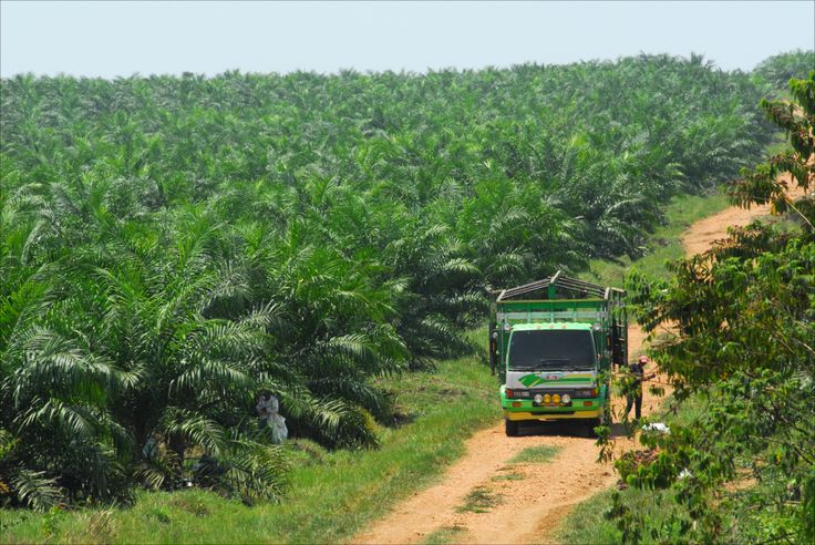 The Future of Farming: How Commodity Collection & Trading Benefits Farmers
